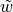 \tilde{w}